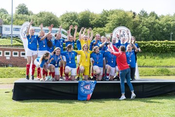 Bild 118 - wBJ SH-Pokalfinale  Holstein-Kiel - SV Viktoria : Ergebnis: 1:0